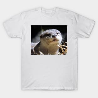 Otter T-Shirt